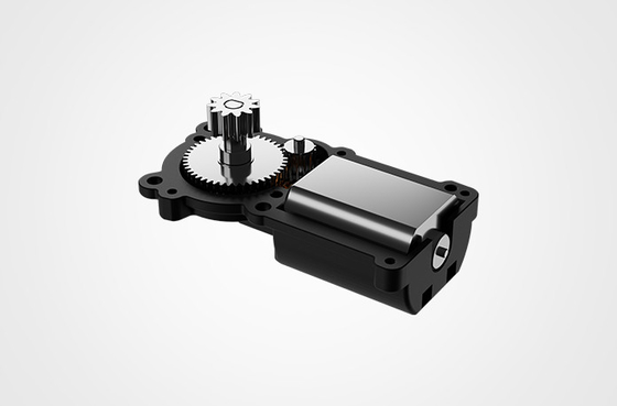 नई ऊर्जा वाहनों के लिए Dc12v ब्रशलेस वर्म गियर मोटर